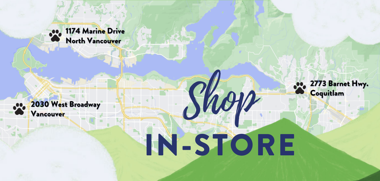 Premium Pet Nutrition & Wellness Products for Happy Paws Korna Pet